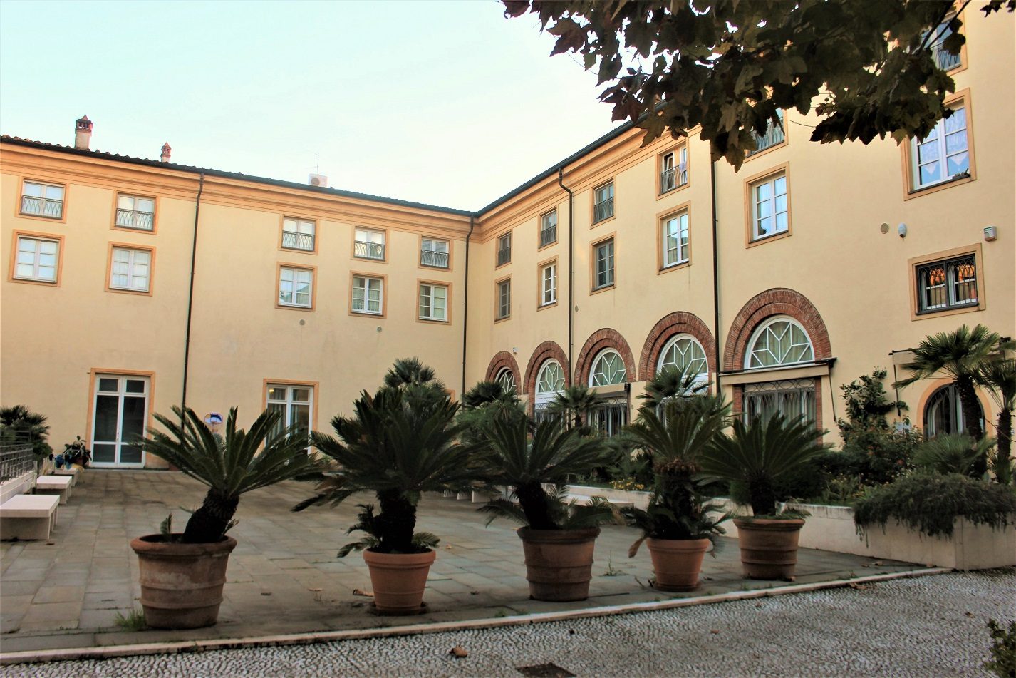 Marine Hospice of Lucca (6)(1).jpg